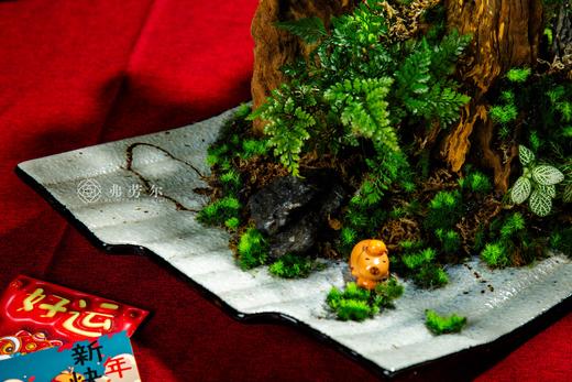 生生不息 商品图2