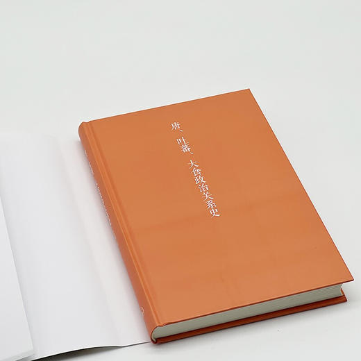 唐、吐蕃、大食政治关系史 王小甫 著  三联书店旗舰店 商品图2