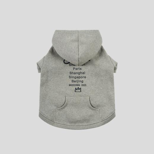 GOODBAI 花体太阳logo城市印花连帽套头宠物卫衣 商品图3