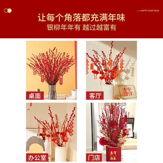 【新年绿植】银柳 真花鲜枝摆件新年植物（多样性发货） 商品图1