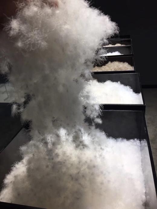 弗雷特羽绒被 意大利品牌，FRETTE 芙蕾特，真正的好羽绒被。 商品图7