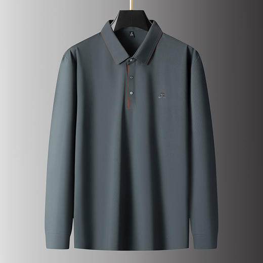 【新款DPS】大依优型大码长袖T恤Polo衫翻领加肥加大肥佬休闲商务宽松透气上衣打底 商品图6