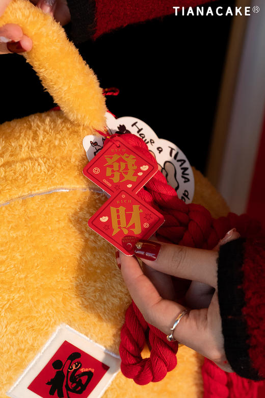 𝟮𝟬𝟮𝟱蛇年特献🏮🧧钱途无量🧧🏮 商品图4