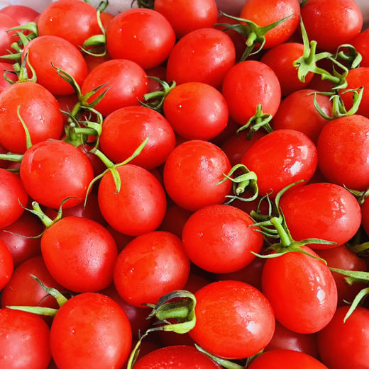 【一定要多吃瘦身糖丸千禧果】来自海沙地的小甜番，瘦身的精髓就在这！瘦就现在！ 商品图2