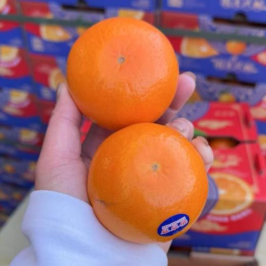 甜弯弯~沃柑 商品图1