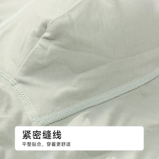 都市丽人棉平角干爽棉简约基础平角裤FKHC26 商品图8