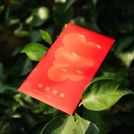 阿柑文创 | 大橘大利红包 /鲜活绽放日历【除自提外，文创单件买不包邮】 商品图10