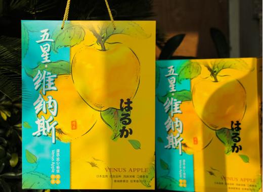 200套餐三 商品图0