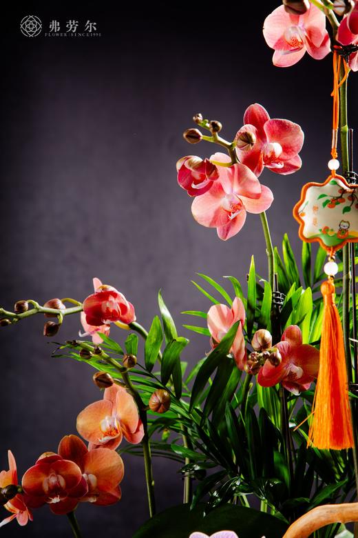 蛇年鸿运 商品图4