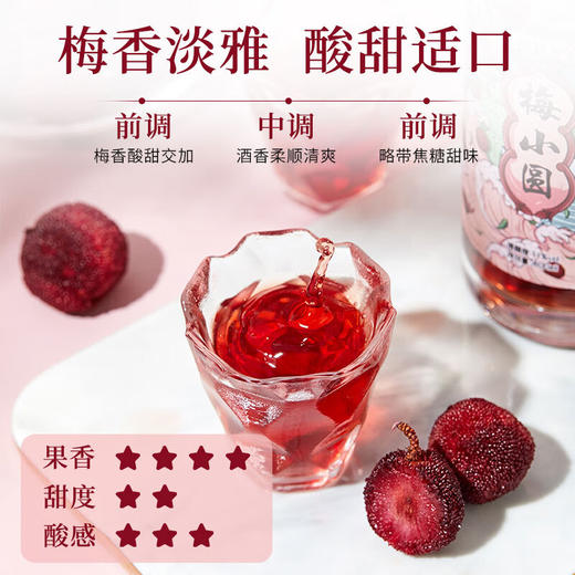 梅小圆杨梅酒400ml 商品图5