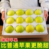栒邑红 正宗陕西旬邑高原瑞雪苹果  新鲜水果青苹果礼盒装生鲜 含糖高 汁水丰盈 国货苹果 商品缩略图1