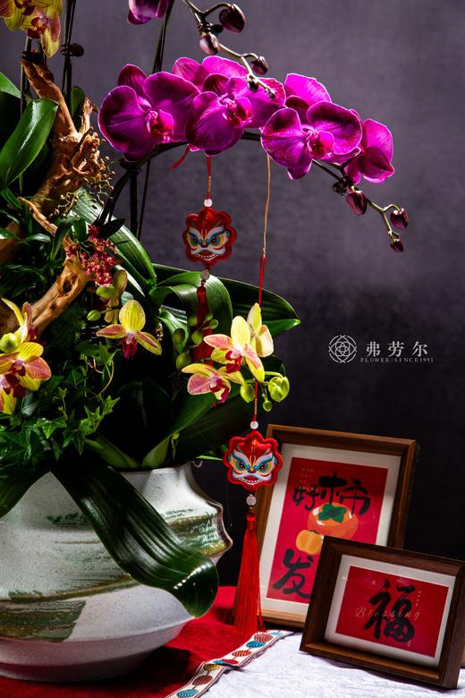 画蛇添福 商品图1