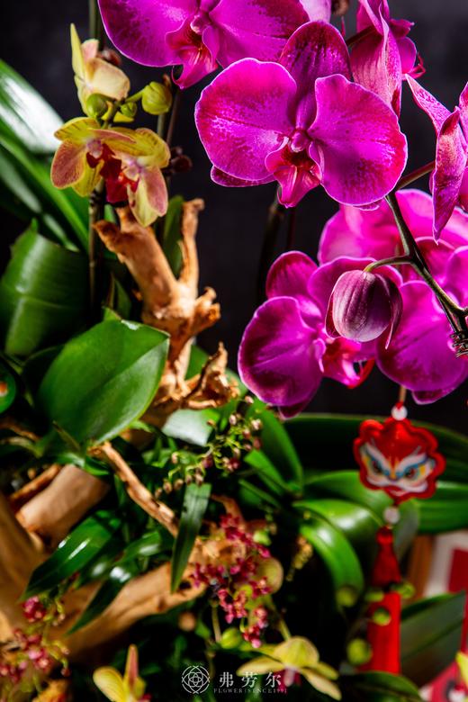 画蛇添福 商品图3