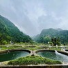 生态草鱼，1条4一4.2斤，肉质紧实，口感鲜嫩，汤汁清甜，无泥腥味 商品缩略图1