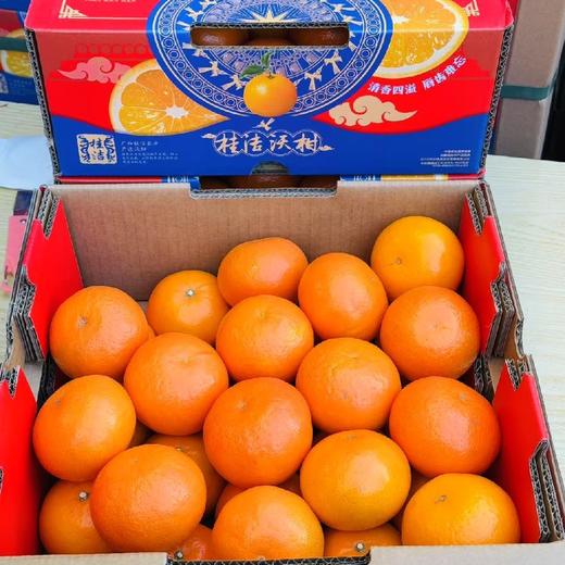 甜弯弯~沃柑 商品图4