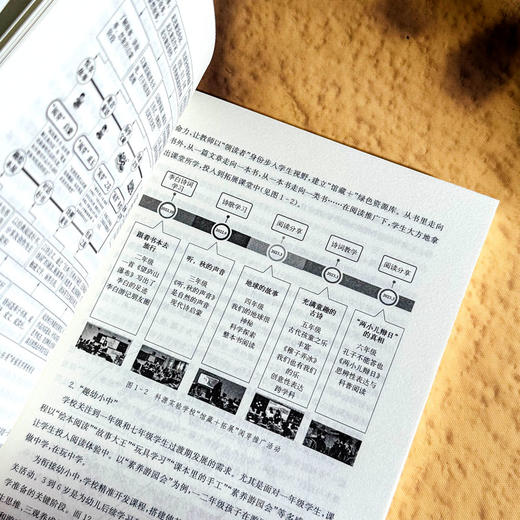 阳光阅读的校本设计与特色创建 课程治理现代化丛书 王旭信 房蓓 商品图7