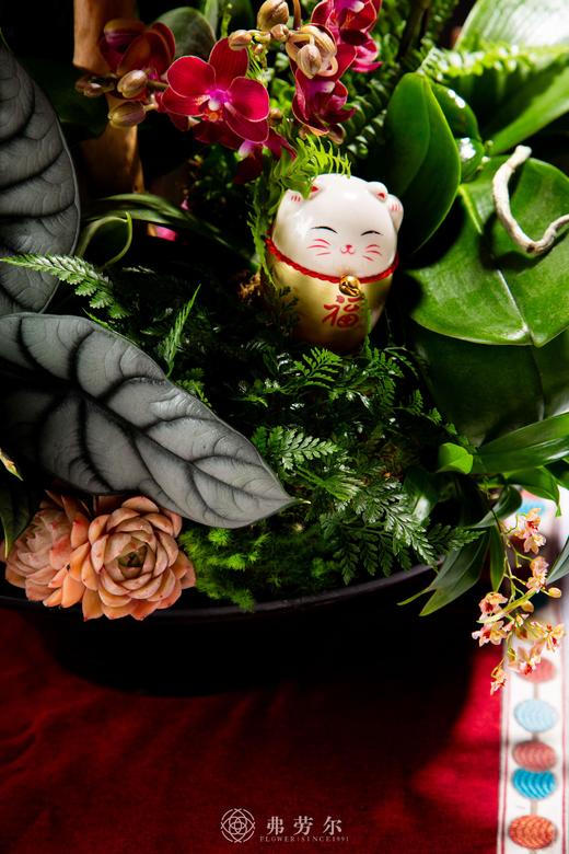 合家团圆 商品图4