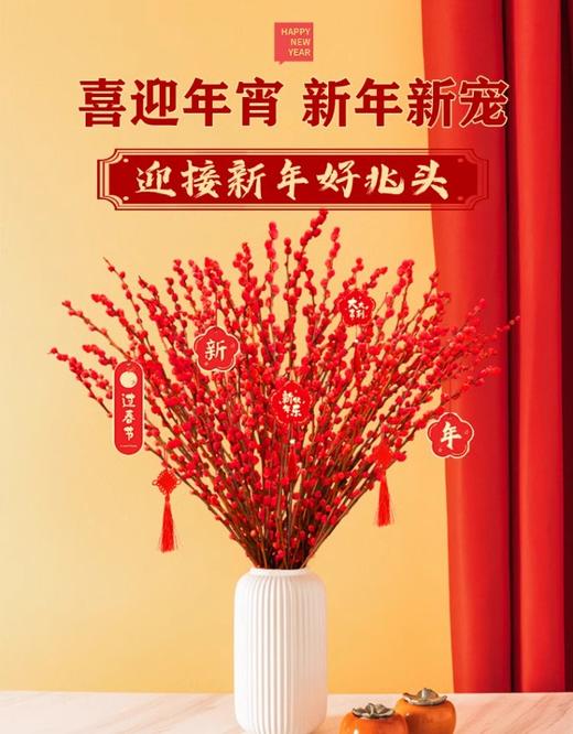 【新年绿植】银柳 真花鲜枝摆件新年植物（多样性发货） 商品图0