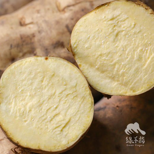 生态红薯（白皮黄心，中通） | 合作生产*Eco-sweet potato | Partner Production 商品图2