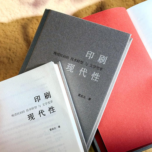 印刷现代性 晚清民初的技术转型与文学变革 雷启立 中国文学 商品图4