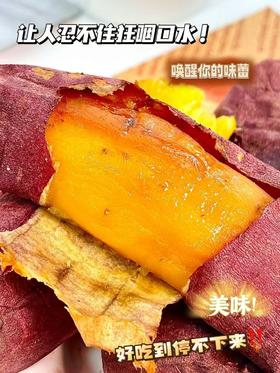 开袋即食烤蜜薯 甜蜜绵糯无需等待【匠标源·冰烤蜜薯】红皮黄心+流蜜流油+细腻无丝