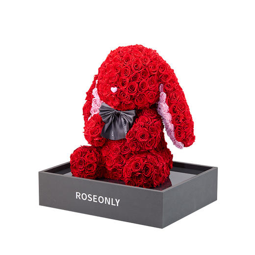 【告白神器】ROSEONLY诺誓 高端定制 永生玫瑰 公仔系列 玫瑰萌耳兔 送朋友 商品图2