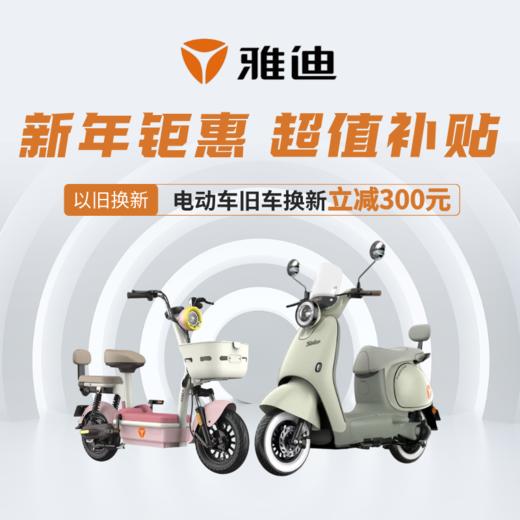 雅迪电动车（支持邮寄到家或线下门店自提） 商品图0