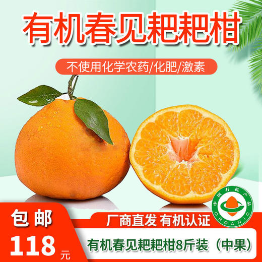包邮【厂商直发】有机春见耙耙柑5斤/8斤装 果肉饱满多汁 商品图7