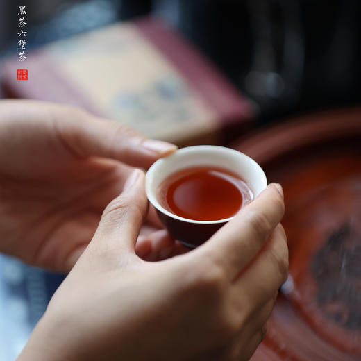 东济堂 六堡红曲茶 身体清爽 涤去淤浊，疏通滞碍  20袋/盒 商品图3