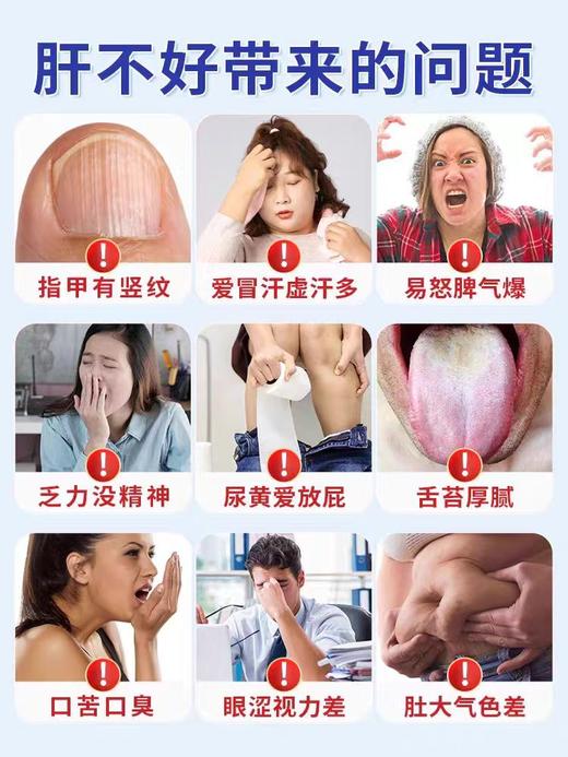 九芝堂养肝茶增强免疫力低下肝火加班熬夜恢复喝酒肝损伤 2g*8 商品图2