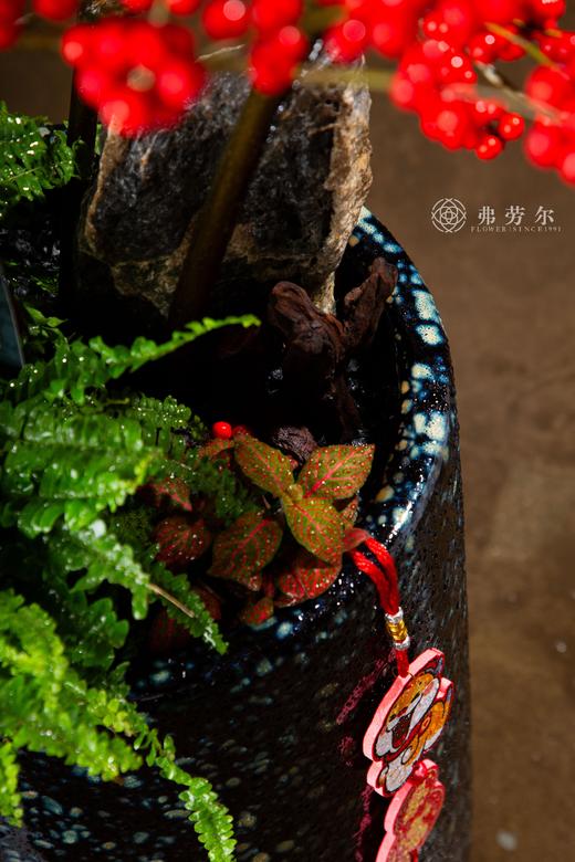 灵蛇启航 商品图2