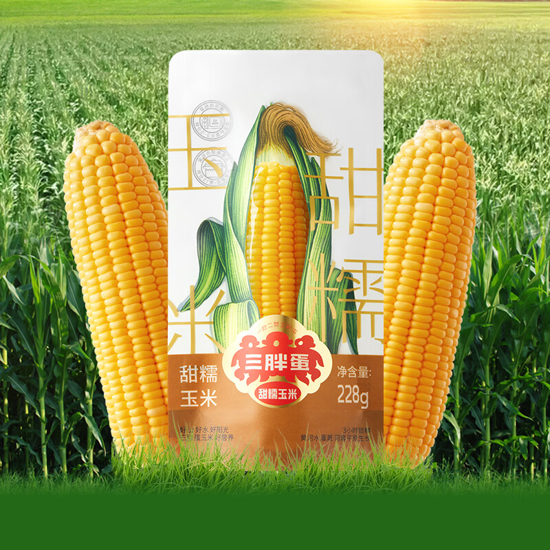 三胖蛋甜糯玉米新鲜真空包装加热即食黄玉米棒粗粮代餐228g 228g*9穗礼盒