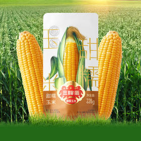 三胖蛋甜糯玉米新鲜真空包装加热即食黄玉米棒粗粮代餐228g 228g*9穗礼盒