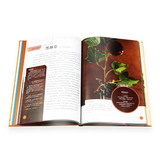 饮料植物  塞尔日·沙著  三联书店旗舰店 商品图3