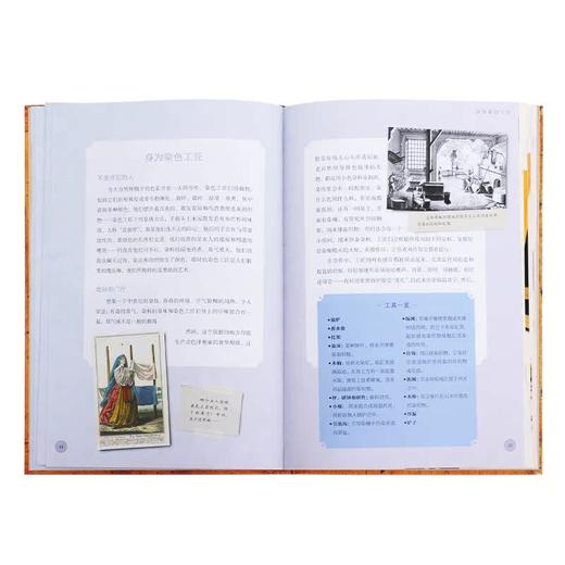 染色植物  [法] 尚黛儿· 德尔凡 埃里克·吉通 著  三联书店 商品图2