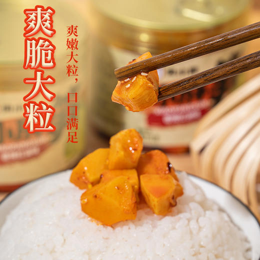 【何小胖小胖笋】红油嫩笋香辣笋丁即食下饭菜竹笋咸菜爽脆鲜嫩麻辣 商品图2