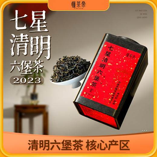 懂茶帝-韦洁群2023年清明六堡茶（七星茶王）250g 商品图0