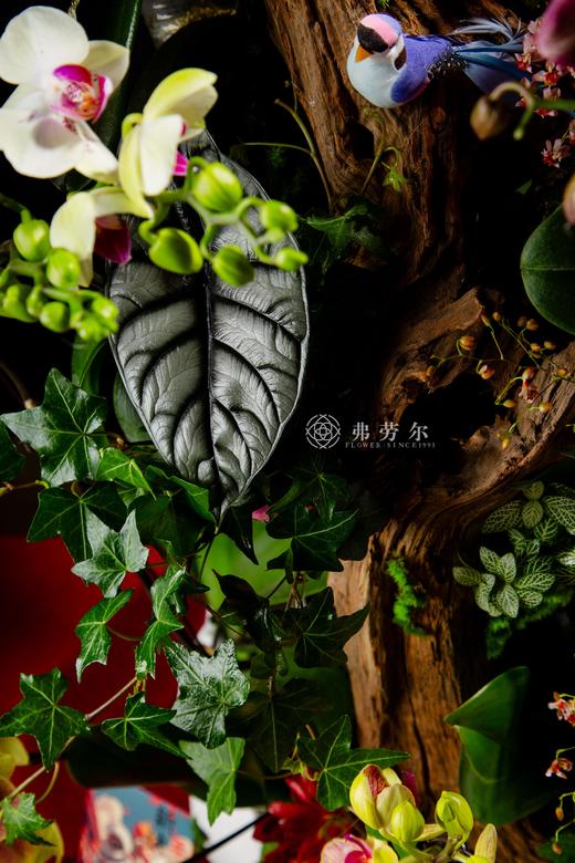 喜庆盈门 商品图4