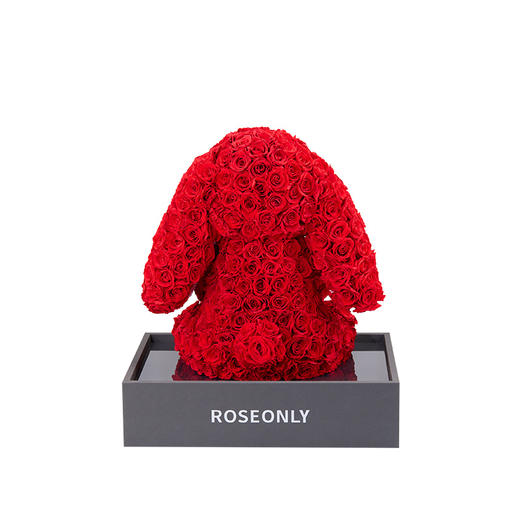 【告白神器】ROSEONLY诺誓 高端定制 永生玫瑰 公仔系列 玫瑰萌耳兔 送朋友 商品图3