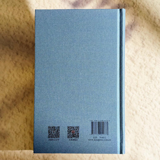 印刷现代性 晚清民初的技术转型与文学变革 雷启立 中国文学 商品图2