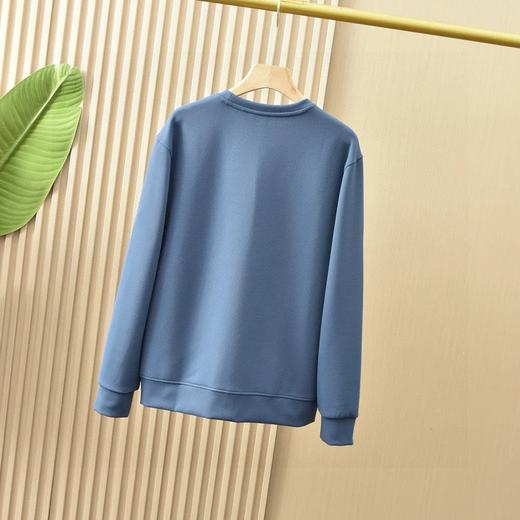 可隆小树家2025春秋季新款男女同款四色锦纶提花华夫格面料 加厚套头圆领卫衣！ 商品图5