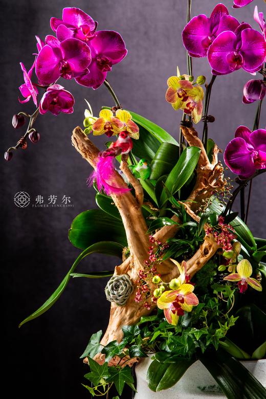 画蛇添福 商品图2