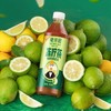 兰芳园鸭屎香冻柠茶500ml 商品缩略图5