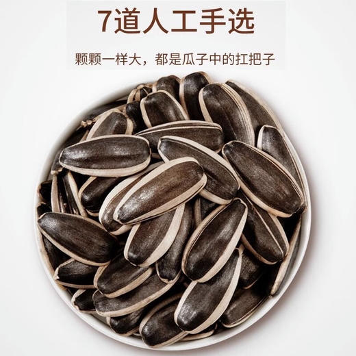 【特惠12.5】三胖蛋原味瓜子120g袋装-（效期至26年8月27日）-专享价-（新老包装随机发货） 商品图3