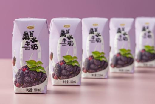 🥳【左江桑葚水牛奶】奶中贵族🥛0蔗糖低脂🥰比一般的牛奶浓稠🥳优质乳蛋白🥳花青素满满缔造营养💯新高度自然清甜唇齿留香每一😍口都像是在吃化掉的冰淇淋 商品图5