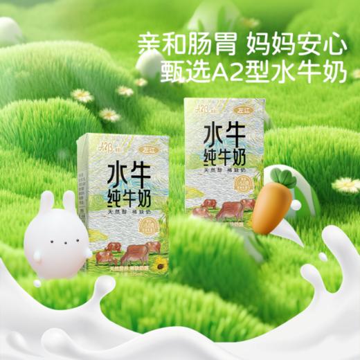 🤩【左江a2β-酪蛋白水牛纯牛奶】🔻专为小朋友定制的左江A2水牛纯牛奶，🙈小小一盒营养满分💯！ 当妈妈的都知道💥，宝宝的“吃喝”总是难题 商品图3
