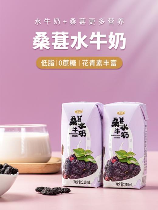 🥳【左江桑葚水牛奶】奶中贵族🥛0蔗糖低脂🥰比一般的牛奶浓稠🥳优质乳蛋白🥳花青素满满缔造营养💯新高度自然清甜唇齿留香每一😍口都像是在吃化掉的冰淇淋 商品图0