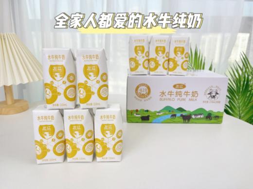 🌈【左江水牛纯牛奶】🥰像冰淇淋一样的水牛奶，你喝过吗？ 快来👏，我这从来不喝奶的人，都爱了🔥 商品图4