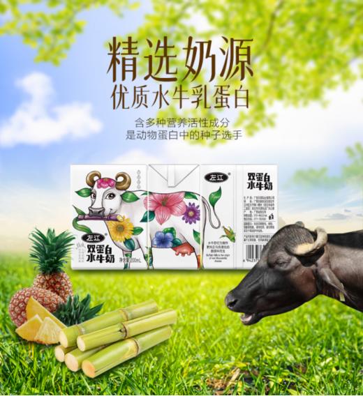 🎈【左江双蛋白水牛奶】🥛作为稀缺奶源，💥每一口都弥足珍贵🍸添加大豆动物蛋白+植物蛋白！！👏双重营养添加自带甘甜 商品图1