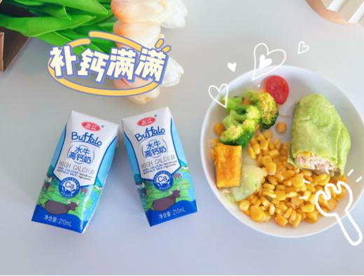 🥳【左江水牛高钙奶】好喝到一滴不剩❗❗❗❗不爱喝纯牛奶的宝宝们都看过来~🥛“钙”世英雄让你重新爱上喝牛奶~🎈 商品图5